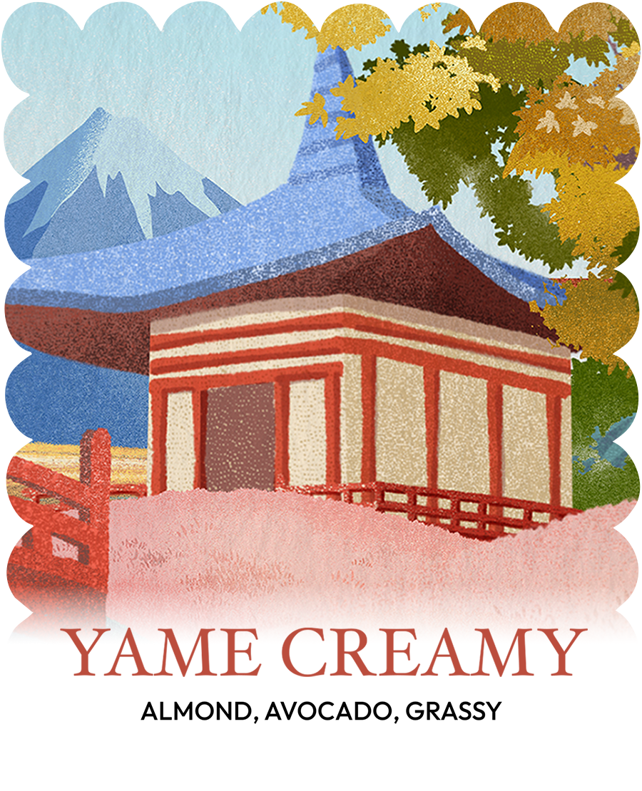 Yame Creamy